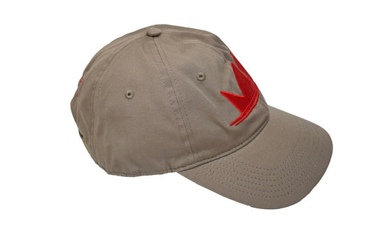 SIK Logo Dad Hat